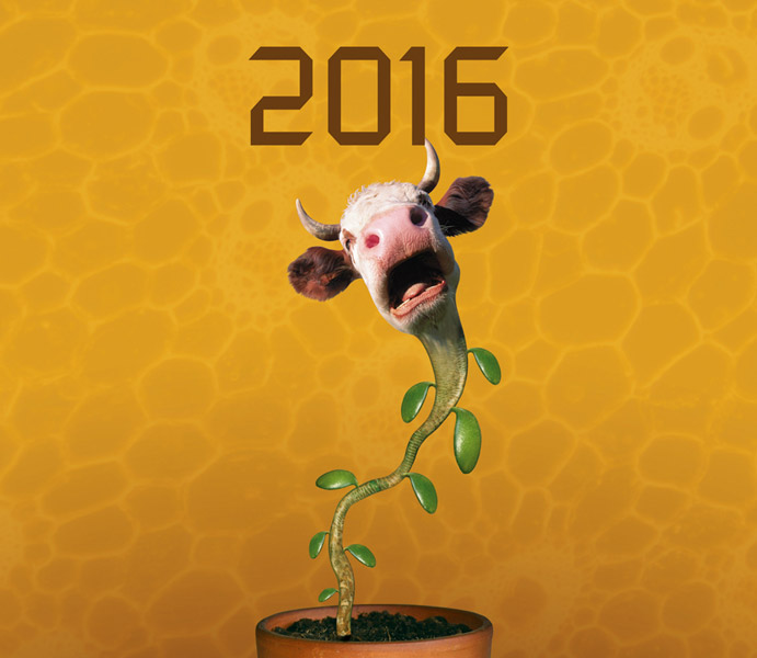 Rauta kalenteri 2016.