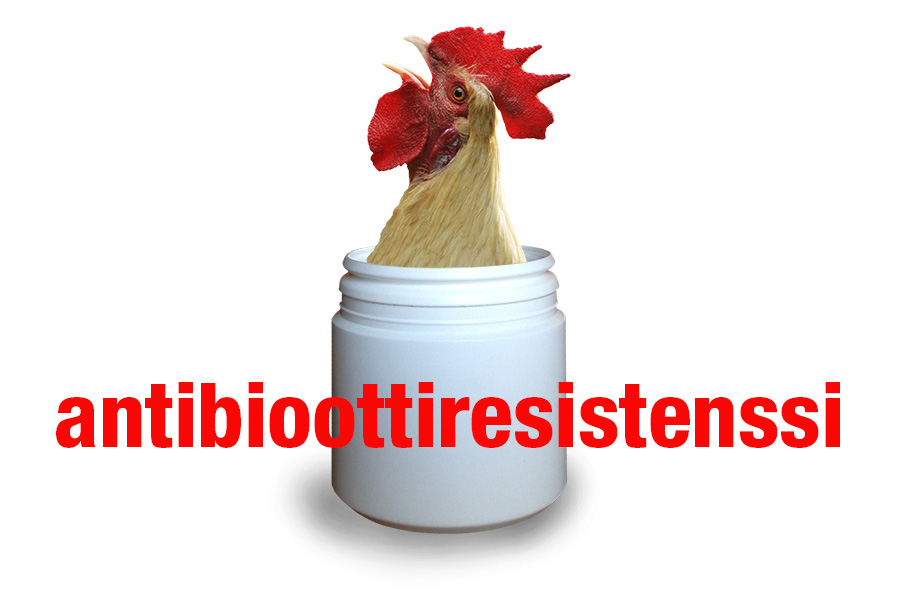 Elintarvikkeiden puhtaus on kilpailuetu, kana lääkepurkissa.
